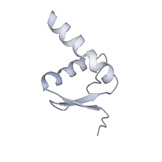 3802_6o9m_5_v1-3
Structure of the human apo TFIIH