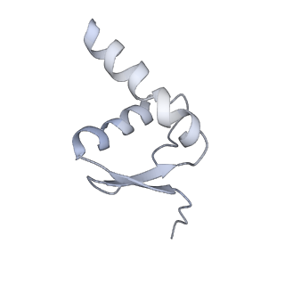 3802_6o9m_5_v1-4
Structure of the human apo TFIIH