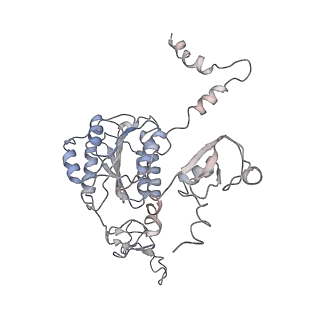 3802_6o9m_6_v1-3
Structure of the human apo TFIIH