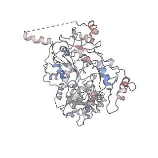 3802_6o9m_7_v1-3
Structure of the human apo TFIIH
