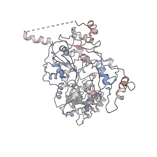 3802_6o9m_7_v1-4
Structure of the human apo TFIIH