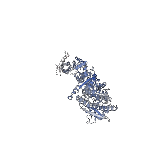 7962_6o9g_A_v1-2
Open state GluA2 in complex with STZ and blocked by AgTx-636, after micelle signal subtraction
