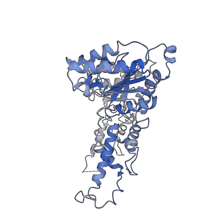 0665_6oa9_A_v1-3
Cdc48-Npl4 complex processing poly-ubiquitinated substrate in the presence of ATP