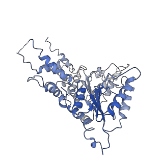 0665_6oa9_C_v1-3
Cdc48-Npl4 complex processing poly-ubiquitinated substrate in the presence of ATP