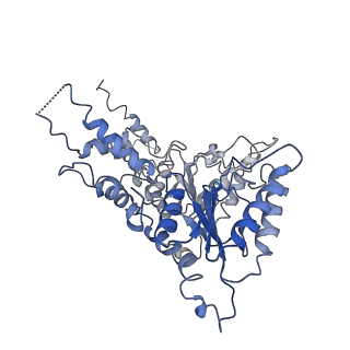 0665_6oa9_C_v1-4
Cdc48-Npl4 complex processing poly-ubiquitinated substrate in the presence of ATP