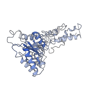 0665_6oa9_E_v1-3
Cdc48-Npl4 complex processing poly-ubiquitinated substrate in the presence of ATP