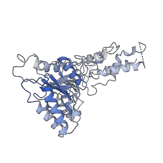 0665_6oa9_E_v1-4
Cdc48-Npl4 complex processing poly-ubiquitinated substrate in the presence of ATP