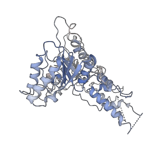 0665_6oa9_F_v1-3
Cdc48-Npl4 complex processing poly-ubiquitinated substrate in the presence of ATP