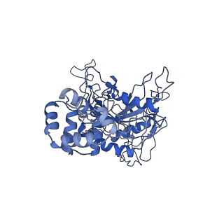 0665_6oa9_G_v1-3
Cdc48-Npl4 complex processing poly-ubiquitinated substrate in the presence of ATP