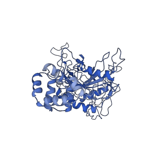 0665_6oa9_G_v1-4
Cdc48-Npl4 complex processing poly-ubiquitinated substrate in the presence of ATP