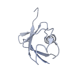 0665_6oa9_H_v1-4
Cdc48-Npl4 complex processing poly-ubiquitinated substrate in the presence of ATP