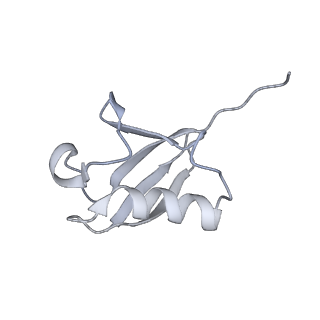 0665_6oa9_J_v1-3
Cdc48-Npl4 complex processing poly-ubiquitinated substrate in the presence of ATP