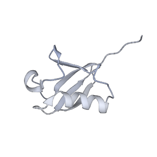 0665_6oa9_J_v1-4
Cdc48-Npl4 complex processing poly-ubiquitinated substrate in the presence of ATP