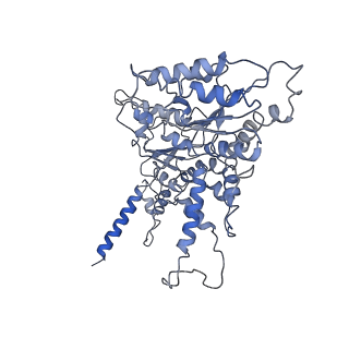 0666_6oaa_B_v1-3
Cdc48-Npl4 complex processing poly-ubiquitinated substrate in the presence of ADP-BeFx, state 1