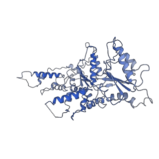 0666_6oaa_C_v1-3
Cdc48-Npl4 complex processing poly-ubiquitinated substrate in the presence of ADP-BeFx, state 1