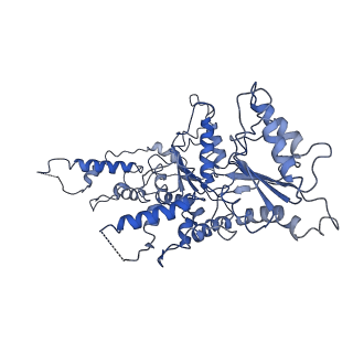 0666_6oaa_C_v1-4
Cdc48-Npl4 complex processing poly-ubiquitinated substrate in the presence of ADP-BeFx, state 1