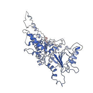 0666_6oaa_D_v1-3
Cdc48-Npl4 complex processing poly-ubiquitinated substrate in the presence of ADP-BeFx, state 1