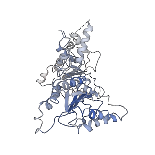 0666_6oaa_E_v1-3
Cdc48-Npl4 complex processing poly-ubiquitinated substrate in the presence of ADP-BeFx, state 1