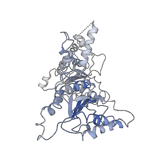 0666_6oaa_E_v1-4
Cdc48-Npl4 complex processing poly-ubiquitinated substrate in the presence of ADP-BeFx, state 1