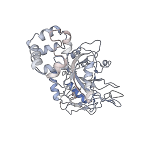 0666_6oaa_G_v1-3
Cdc48-Npl4 complex processing poly-ubiquitinated substrate in the presence of ADP-BeFx, state 1