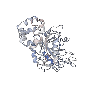 0666_6oaa_G_v1-4
Cdc48-Npl4 complex processing poly-ubiquitinated substrate in the presence of ADP-BeFx, state 1