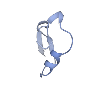 12776_7oag_B_v1-1
Cryo-EM structure of the plectasin fibril (single strand)