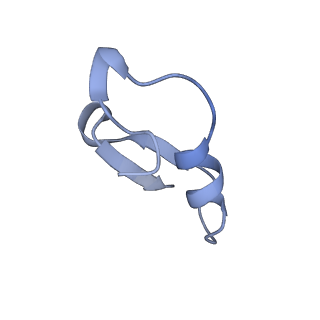 12776_7oag_C_v1-1
Cryo-EM structure of the plectasin fibril (single strand)