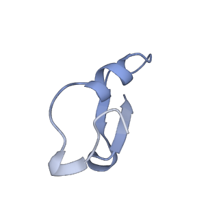 12776_7oag_D_v1-1
Cryo-EM structure of the plectasin fibril (single strand)