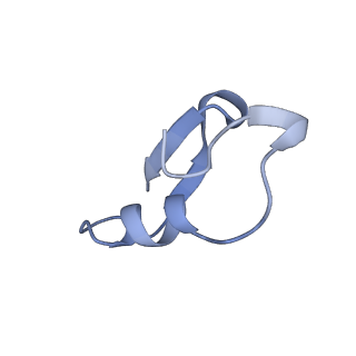 12776_7oag_F_v1-1
Cryo-EM structure of the plectasin fibril (single strand)