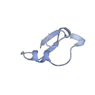 12776_7oag_I_v1-1
Cryo-EM structure of the plectasin fibril (single strand)