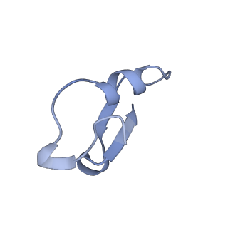 12776_7oag_K_v1-1
Cryo-EM structure of the plectasin fibril (single strand)