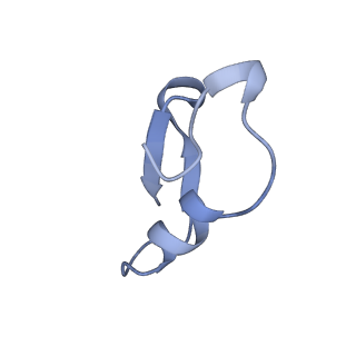 12776_7oag_M_v1-1
Cryo-EM structure of the plectasin fibril (single strand)