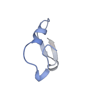 12776_7oag_O_v1-1
Cryo-EM structure of the plectasin fibril (single strand)