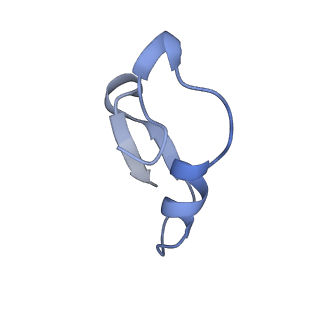 12776_7oag_P_v1-1
Cryo-EM structure of the plectasin fibril (single strand)