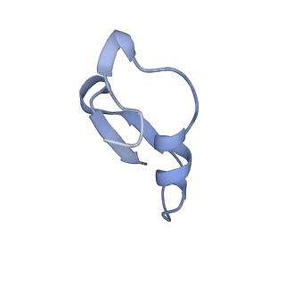 12776_7oag_Q_v1-1
Cryo-EM structure of the plectasin fibril (single strand)