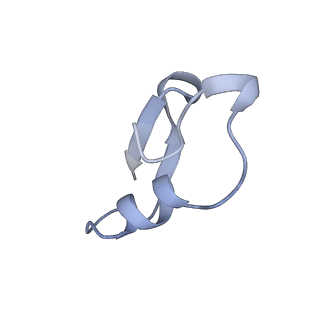 12776_7oag_T_v1-1
Cryo-EM structure of the plectasin fibril (single strand)