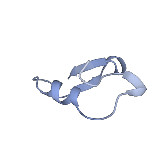 12776_7oag_X_v1-1
Cryo-EM structure of the plectasin fibril (single strand)