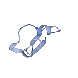 12776_7oag_Y_v1-1
Cryo-EM structure of the plectasin fibril (single strand)