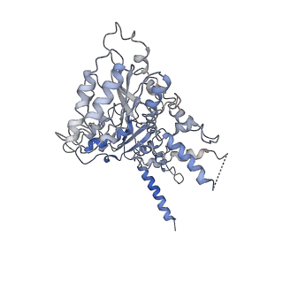 20000_6oab_A_v1-3
Cdc48-Npl4 complex processing poly-ubiquitinated substrate in the presence of ADP-BeFx, state 2