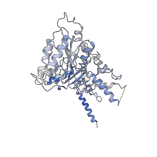 20000_6oab_A_v1-4
Cdc48-Npl4 complex processing poly-ubiquitinated substrate in the presence of ADP-BeFx, state 2