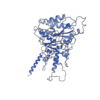 20000_6oab_B_v1-3
Cdc48-Npl4 complex processing poly-ubiquitinated substrate in the presence of ADP-BeFx, state 2