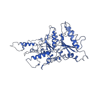 20000_6oab_C_v1-3
Cdc48-Npl4 complex processing poly-ubiquitinated substrate in the presence of ADP-BeFx, state 2