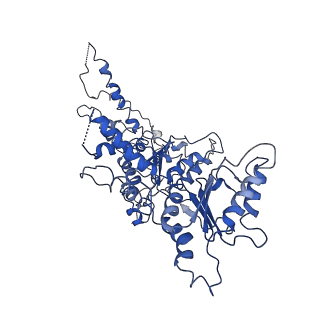 20000_6oab_D_v1-3
Cdc48-Npl4 complex processing poly-ubiquitinated substrate in the presence of ADP-BeFx, state 2