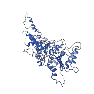 20000_6oab_D_v1-4
Cdc48-Npl4 complex processing poly-ubiquitinated substrate in the presence of ADP-BeFx, state 2