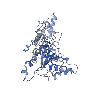 20000_6oab_E_v1-3
Cdc48-Npl4 complex processing poly-ubiquitinated substrate in the presence of ADP-BeFx, state 2