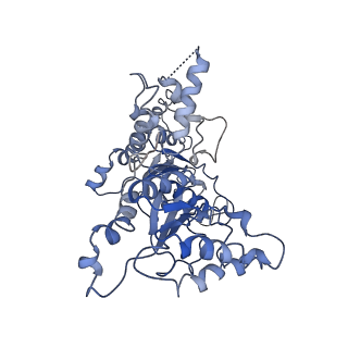 20000_6oab_E_v1-4
Cdc48-Npl4 complex processing poly-ubiquitinated substrate in the presence of ADP-BeFx, state 2