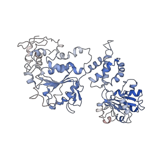 20004_6oax_A_v1-1
Structure of the hyperactive ClpB mutant K476C, bound to casein, pre-state