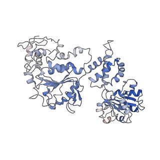 20004_6oax_A_v1-2
Structure of the hyperactive ClpB mutant K476C, bound to casein, pre-state