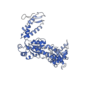 20004_6oax_B_v1-2
Structure of the hyperactive ClpB mutant K476C, bound to casein, pre-state