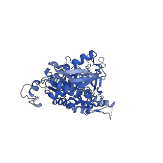 20004_6oax_C_v1-1
Structure of the hyperactive ClpB mutant K476C, bound to casein, pre-state